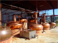 Newsletter n.º 25 - Foto 7